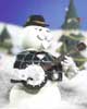 Muñeco de nieve, músico