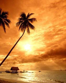 Playa, el espectáculo