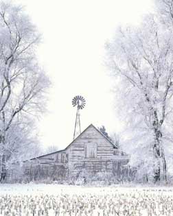 Resplandor de la nieve en Navidad