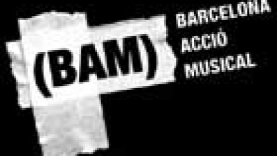 Avance del BAM 2009