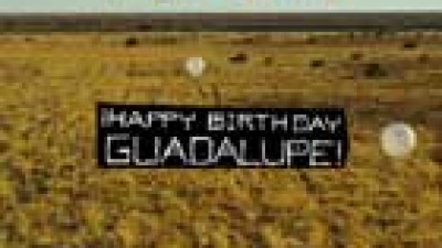 The Killers, "Happy Birthday Guadalupe"