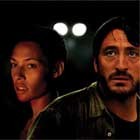 La noche de los girasoles premiada en Miami