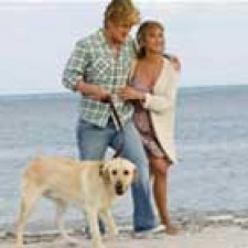 Marley & Me gana la loteria de Navidad estadounidense