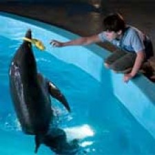 "La gran aventura de Winter" lidera el boxoffice USA