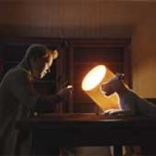 Tintín sigue nº1 en la taquilla española 