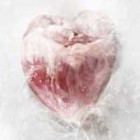 "Caníbal", inicio de rodaje en Granada