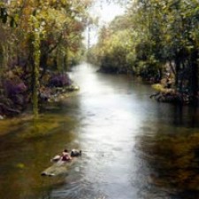 'El libro de la selva' sigue nº1 en el boxoffice USA