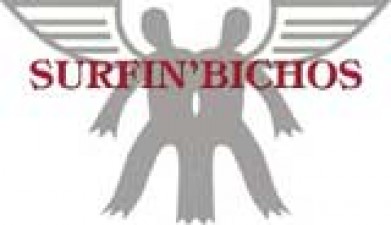 Surfin Bichos regresa