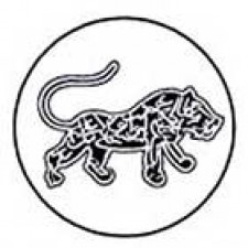 Womad Las Palmas 2006