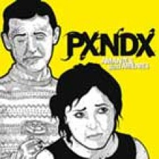 Panda, punk-rock mexicano