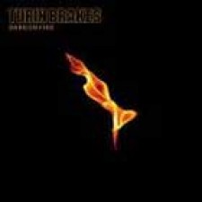 Turin Brakes, Dark on fire