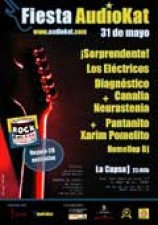 Fiesta AudioKat