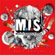 Instituto mexicano del sonido, Soy sauce