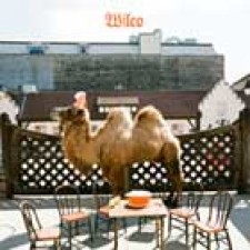 Tema gratis de Wilco