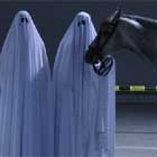 Sonar 2010 en Barcelona y La Coruña