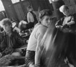 "Butterfly, Butterfly (The Last Hurrah)", lo ultimo de A-ha