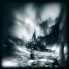 Guillemots, Walk the river