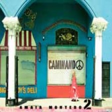 Caminando, una canción de Amaia Montero