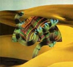 El album de Django Django