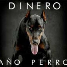 Dinero, Año Perro