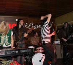 Sex Museum, Back to the Fuzz