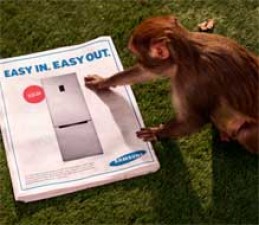 Video patrocinado: Samsung presenta al Mono Ladrón