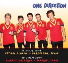 La gira de estadios de One Direction en 2014