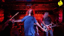 Ganador del Premio Ruido 2024