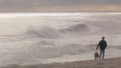 Falleció Rick Davies de Supertramp a los 81 años