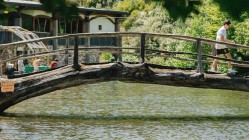 Observatorio Festival 2026: Cartel 