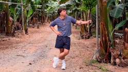 Quevedo con 'El baifo' duodécima semana número 1 en discos en España